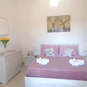 B&B Il Tulipano